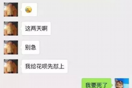 鲁甸鲁甸专业催债公司，专业催收