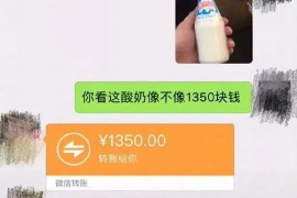 鲁甸为什么选择专业追讨公司来处理您的债务纠纷？